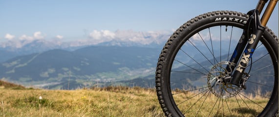 Alkoholgrenzen für EBiker?